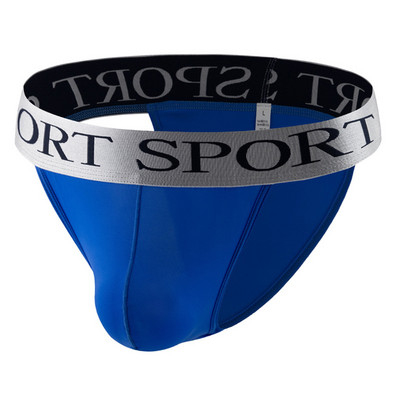 Muške ledeno svilene bikini gaćice Gaćice Donje rublje Torbica s izbočenim preponama Gaćice Elastični pojas Gaćice Prozirne mekane kratke gaćice