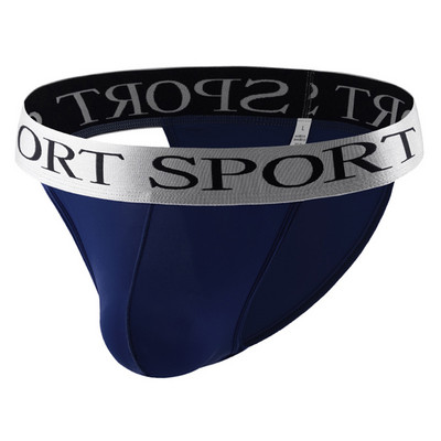 Muške ledeno svilene bikini gaćice Gaćice Donje rublje Torbica s izbočenim preponama Gaćice Elastični pojas Gaćice Prozirne mekane kratke gaćice