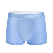 Brand muške gaćice Ice Silk Seamless Cool muške bokserice Ljetne brzo sušeće seksi gaće Cueca Prozračno donje rublje Gaće