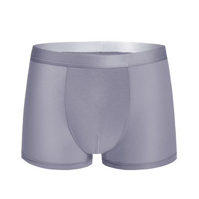 Brand muške gaćice Ice Silk Seamless Cool muške bokserice Ljetne brzo sušeće seksi gaće Cueca Prozračno donje rublje Gaće