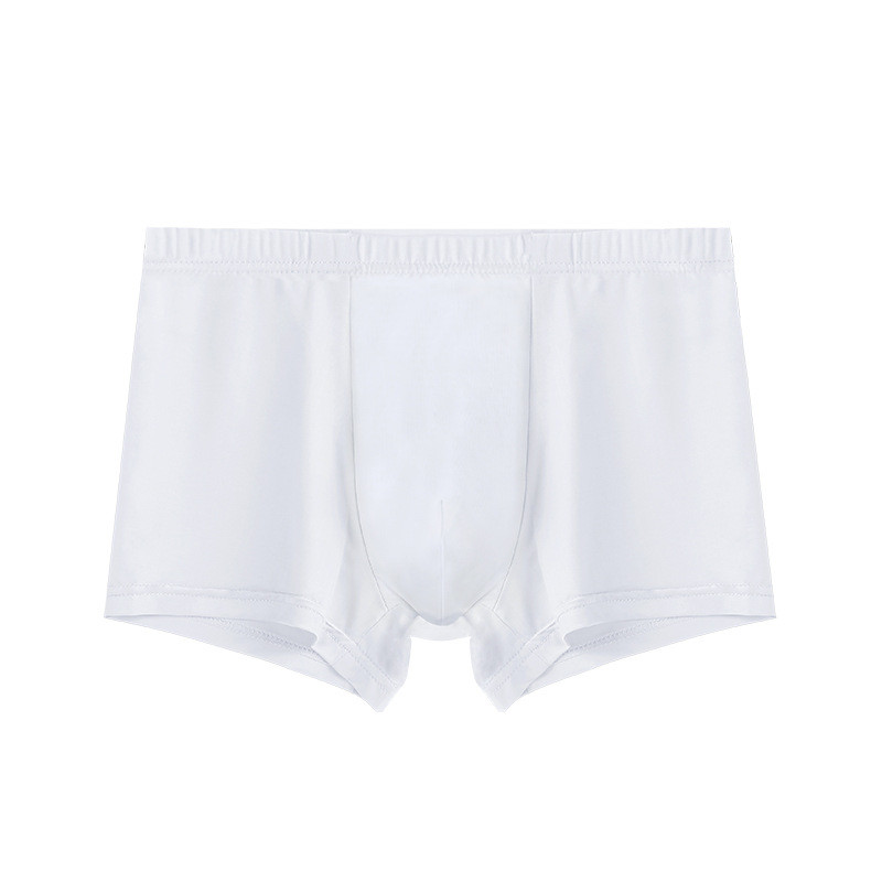 Νέα Ανδρικά Εσώρουχα Μπόξερ Ανδρικά Εσώρουχα Μπόξερ Ανδρική Ελαστικότητα Αναπνεύσιμη Άνετη Άνευ ραφής Ice Silk Man Μασίφ σώβρακο Σορτς σορτς