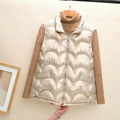 Lesklá bavlnená vesta pre ženy, nová jeseň/zima 2023, kórejský štýl, stojatý golier, bez rukávov, prešívaný kabát bez čistého strihu