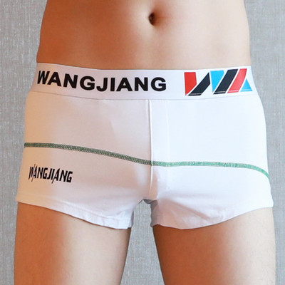 Vyriški apatiniai rūbai Boxer Medvilnė Cuecas Boxer Vyriški bokseriniai šortai Apatiniai apatiniai apatinis trikotažas žemu juosmeniu U išgaubtas maišelis Vyras ir kvėpuojančios apatinės kelnės