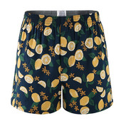 6XL Muško donje rublje Bokserice Kratke hlače Ležerne pamučne gaćice za spavanje Brand Karirane široke udobne kućne gaćice Bokserice velikih veličina