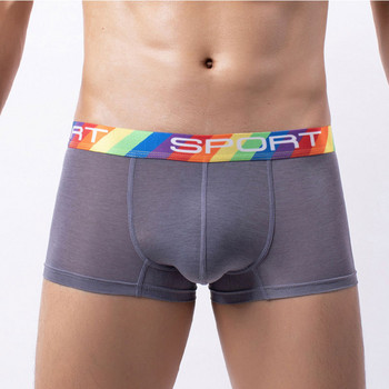 Ice Silk Boxer Για Άνδρα Μεγάλο Μεγέθους Πουγκί Ανδρικά Εσώρουχα Μόδα Αθλητικά Μπόξερ Σώβρακα Ελαστικά Boxer Σορτς Σέξι Homme εσώρουχα