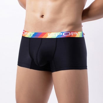 Ice Silk Boxer Για Άνδρα Μεγάλο Μεγέθους Πουγκί Ανδρικά Εσώρουχα Μόδα Αθλητικά Μπόξερ Σώβρακα Ελαστικά Boxer Σορτς Σέξι Homme εσώρουχα