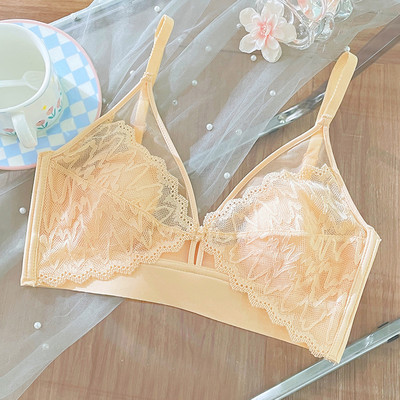 Lenjerie de corp franțuzească de primăvară și vară adună sâni mici urechi de iepure sâni mari sâni mici ultra-subțiri sexy colecție sutien