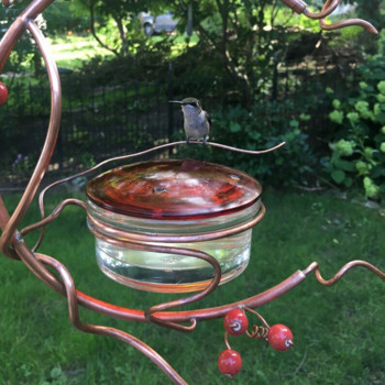 Μεταλλικά κόκκινα μούρα κρεμαστός τροφοδότης κολιμπρί Αποσπώμενος πότης νερού πουλιών για εξωτερικούς χώρους Αίθριο Διακόσμηση αυλής κήπου