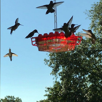 8-Hole Hummingbird Feeder Pet Bird Supplies Dispenser Μπουκάλι Drinking Cup Bowls for Outdoors Courtyard Bird Water Fountain#U40