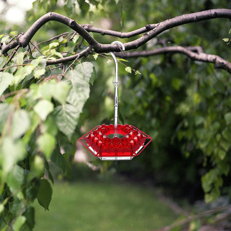 8 skylučių kolibrių lesyklėlė naminių paukščių reikmenų dozatorius, geriamasis puodelis, skirtas lauko kiemo paukščių vandens fontanui Nr. U40