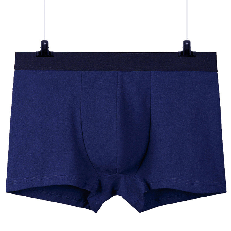 L-4XL Velike veličine Muško seksi donje rublje Mekane udobne bokserice Pamučne prozračne gaće Muške gaćice 3D donje rublje