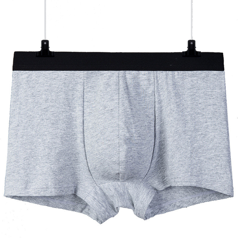 L-4XL Velike veličine Muško seksi donje rublje Mekane udobne bokserice Pamučne prozračne gaće Muške gaćice 3D donje rublje