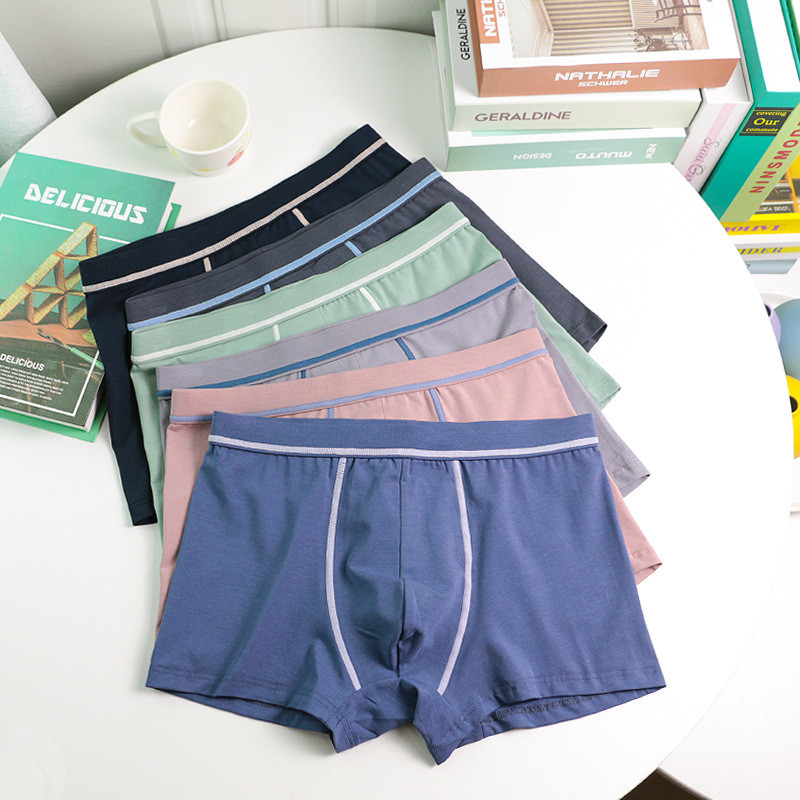 Muške gaćice Donje rublje Udobne pamučne gaće Cuecas Calzoncillos Prozračne bokserice Bokserice velikih veličina XL-6XL