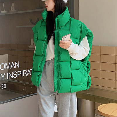 Rudens žieminės striukės be rankovių, moteriškos 2023 m. madingos šiltos storos liemenės su užtrauktuku, vientisos languotos medvilnės paminkštintos viršutinės striukės gatvės drabužiai