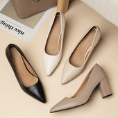 Didelis dydis 41 Moteriški Pumps Aukštakulniai Suknele Batai Smailia nosimi Valties Batai Moteriški Vestuviniai Kvadratakulniai Moteriška Suknelės Batai 9140N