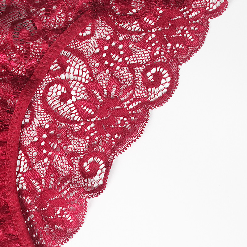 Dámske sexy nohavičky s výšivkou, priehľadné spodné prádlo, pohodlné nohavičky s nízkym pásom, vykladané spodné prádlo, tanga