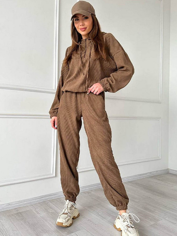 Sportske majice s kapuljačom Tajice Odijelo Ženske jesenske majice dugih rukava od samta Hlače visokog struka Komplet od 2 komada Jednobojna ležerna ženska odijela 2023.