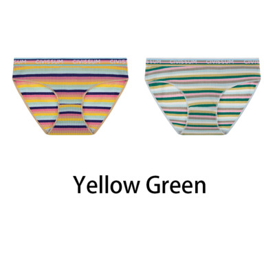 2PCS/Set Ženske pamučne gaćice veće veličine M-4XL Udobno donje rublje Seksi šareno donje rublje s duginim prugama Slatke gaćice za djevojke NK608