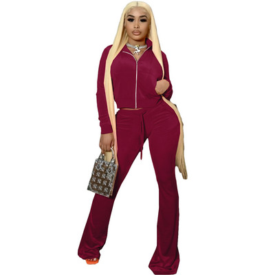 Set de trening din catifea roz, din două piese, pentru femei, cu fermoar, decolteu în V, cu mânecă lungă, crop top, jachetă, pantaloni lungi, costum de trening, set de 2 piese