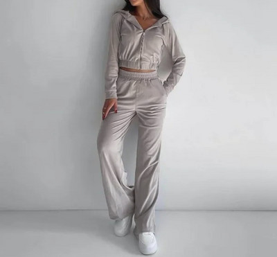 Set două piese ținută pentru femei 2023 modă de primăvară, solidă, cu mânecă lungă, hanorac cu glugă și set de pantaloni casual cu buzunar cu talie înaltă