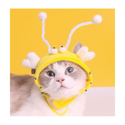 Κεφάλι σκυλιών και γατών φορούν φτερά πειράζω γάτα ραβδί μικρό δεινόσαυρο κάλυμμα κεφαλιού γάτας διασκέδαση γκρι μεγάλα μάτια ψάρια γάτα παιχνίδια αυτοβοήθειας