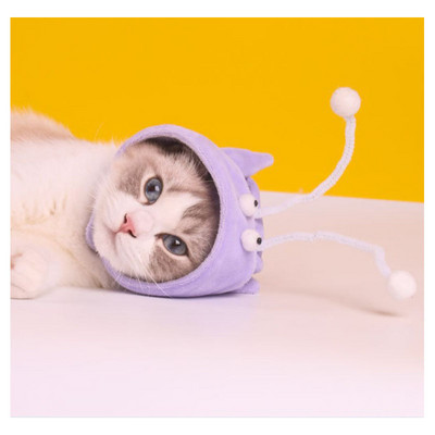 Κεφάλι σκυλιών και γατών φορούν φτερά πειράζω γάτα ραβδί μικρό δεινόσαυρο κάλυμμα κεφαλιού γάτας διασκέδαση γκρι μεγάλα μάτια ψάρια γάτα παιχνίδια αυτοβοήθειας