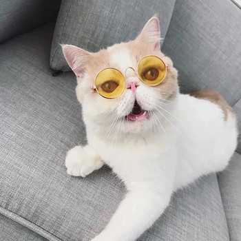 Прекрасни винтидж кръгли слънчеви очила за кученце Котка Красиви очила за домашни любимци за котки Gotas mascotas Аксесоари Куче Сфинкс Katten Продукти