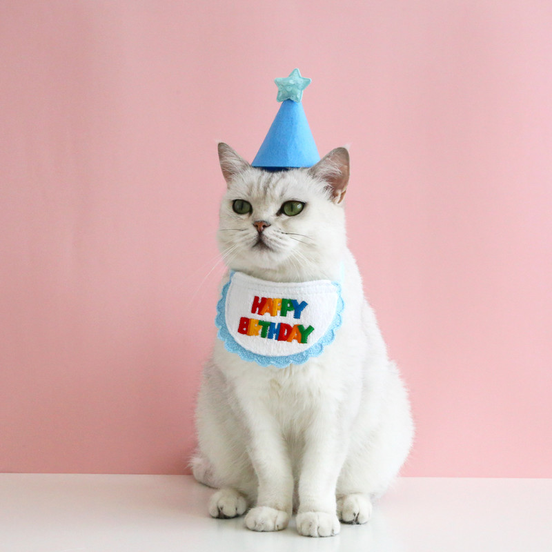 2 buc. Costum de zi de naștere pentru pisică, pălărie, eșarfă, broderie, drăguță, pisică, guler pisică, fund, pălărie pentru pisică, câine, cățeluș, petrecere, accesorii pentru pisici pentru animale de companie
