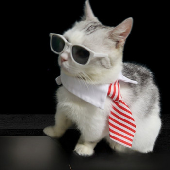 Хелоуин котка куче папийонка домашен любимец наметало комплект шапки слънчеви очила косплей костюм Хелоуин коледно обличане аксесоари парти инструмент