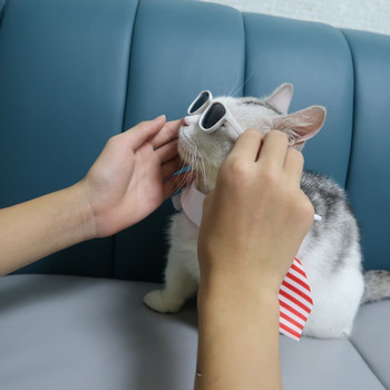 Хелоуин котка куче папийонка домашен любимец наметало комплект шапки слънчеви очила косплей костюм Хелоуин коледно обличане аксесоари парти инструмент
