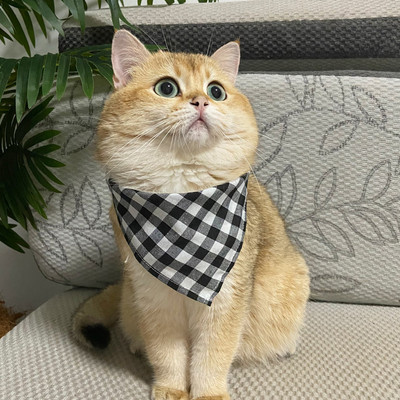 Ins Dog καρό δαντέλα σαλιάρα για κατοικίδια σάλιο Πετσέτα Bichon Teddy Hiromi Σαλιάρα για γάτα Μικρό λουρί για σκύλους Chihuahua Puppy Pets Acessorios