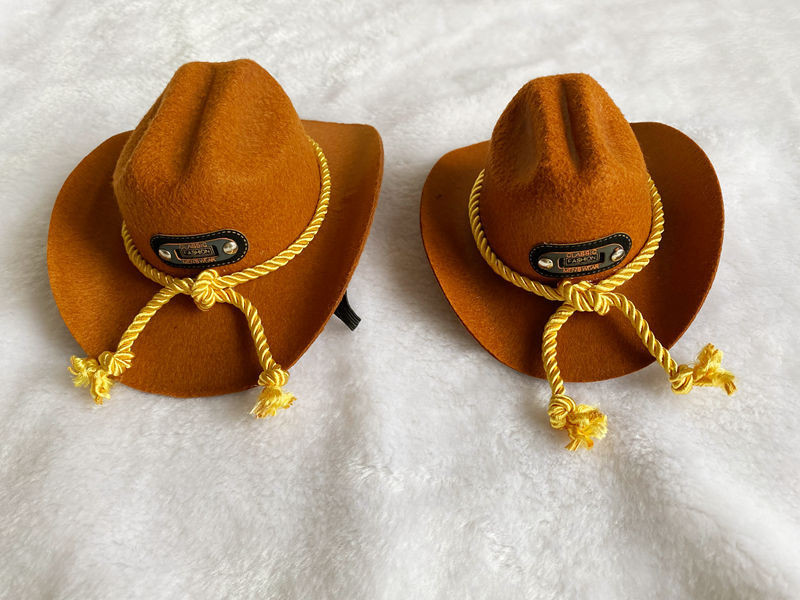 Καπέλα καουμπόη Kawaii για σκύλο κατοικίδιων γατών Δροσερό μη υφαντό ύφασμα καπέλο καουμπόη Αντιανεμικό καπέλο από σχοινί Αξεσουάρ κεφαλής σκύλου γάτας