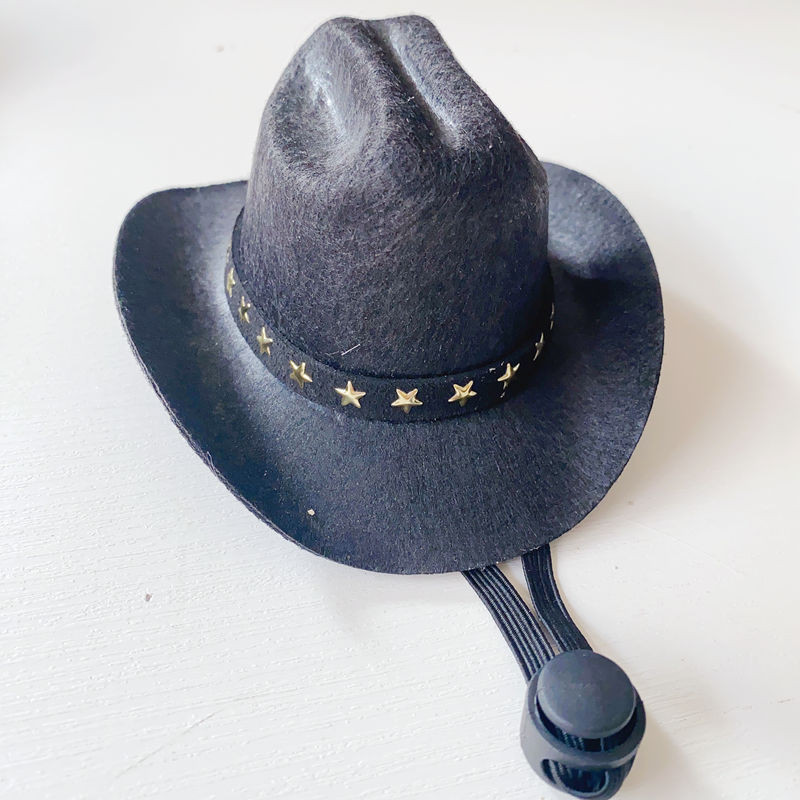 Καπέλα καουμπόη Kawaii για σκύλο κατοικίδιων γατών Δροσερό μη υφαντό ύφασμα καπέλο καουμπόη Αντιανεμικό καπέλο από σχοινί Αξεσουάρ κεφαλής σκύλου γάτας