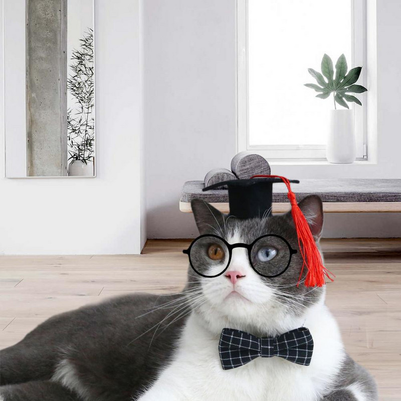 Ελκυστική ταινία κεφαλής Graduation Σκύλου Εξαιρετικά ελαφρύ διακοσμητικό μακράς διαρκείας Καπέλα αποφοίτησης για λαιμό φωτογραφικό στήριγμα