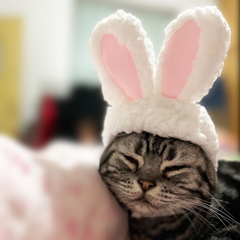 Roztomilé králičie uši, mačacia pokrývka hlavy, premena domáceho maznáčika, zábavné doplnky, biela pokrývka hlavy Garfield, šteniatko, dekorácia pre domáceho maznáčika, doplnky