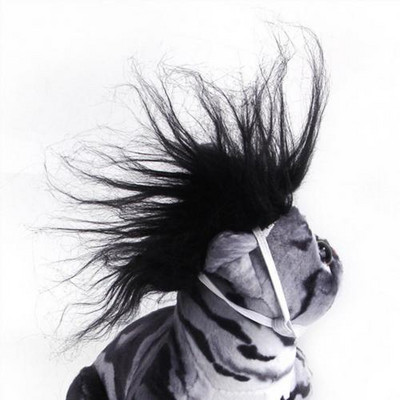 Perika za kućne ljubimce Kreativni rekviziti za fotografije Umjetno krzno Ukrasni pas Pokrivala za kosu za noć vještica Dodaci za mačke