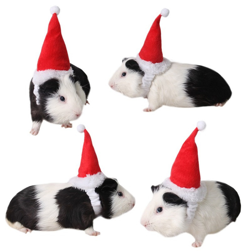 Κεφαλόδεσμος για κατοικίδια, καπέλο σκύλου, γάτα Χριστουγεννιάτικα αξεσουάρ Santa Cap Pompoms Headbands Χριστουγεννιάτικα καπέλα για πάρτι