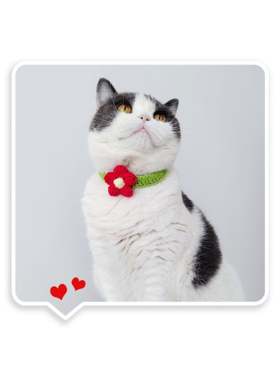 Kawaii βελονάκι για σκύλος γάτας Ρυθμιζόμενο κολιέ από μαλλί Λουλούδια Αξεσουάρ λαιμού κατοικίδιων για κουτάβι γατάκι Κασκόλ πλεξίματος Παπιγιόν Δώρο για κατοικίδια