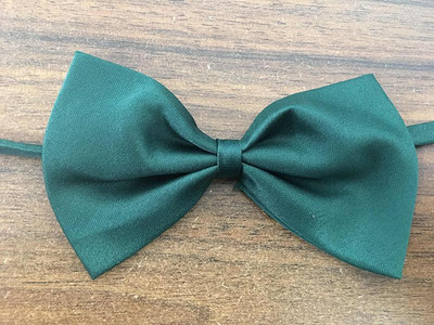 1 osa reguleeritav koera kassi kikilips kaelalips Lemmiklooma koera kikilips kutsika kikid lemmikloomade kikilips erinevat värvi Varustus 23