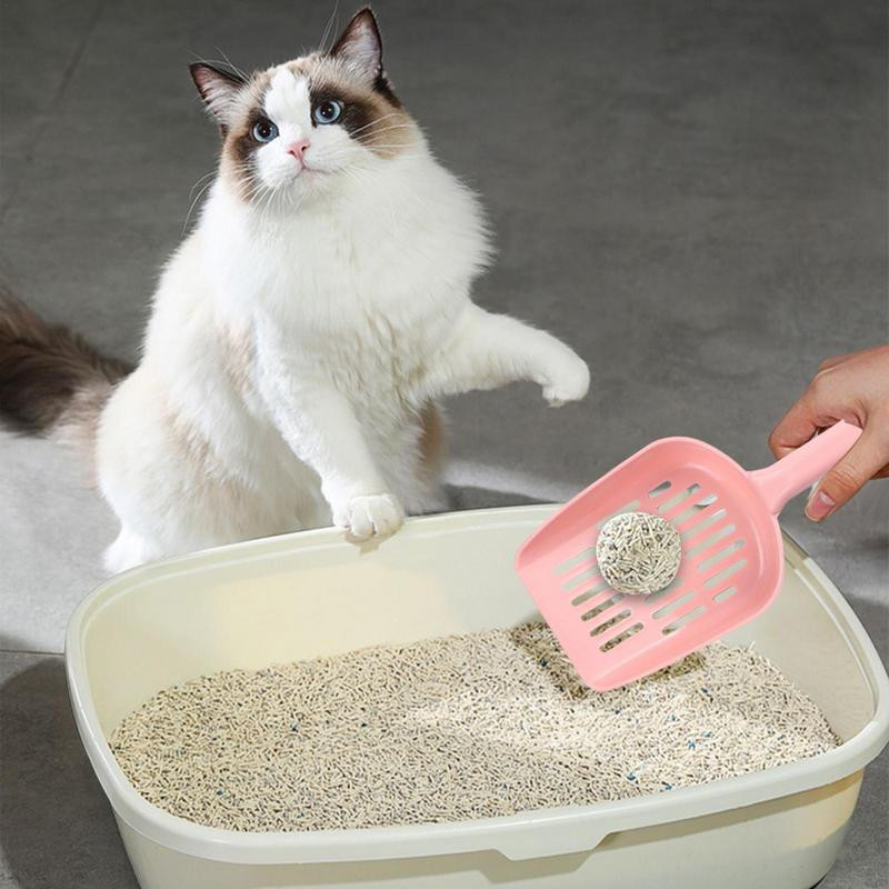 Σκούπα γάτας για κουτί απορριμμάτων γάτας Φτυάρι φίλτρο καθαρής τουαλέτας συλλογής σκουπιδιών Εργονομικό κοσκινιστικό για σπίτια Καταστήματα κατοικίδιων ζώων