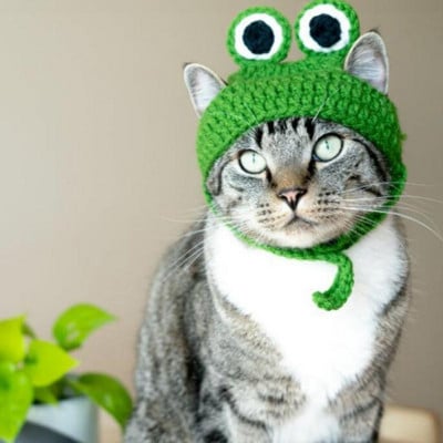 Lemmiklooma kootud käsitsi valmistatud müts kassidele Koertele Armsad konnakujulised peakatted Lõbus fotograafia Lemmiklooma reguleeritav koerapeakate Kasside tarvikud