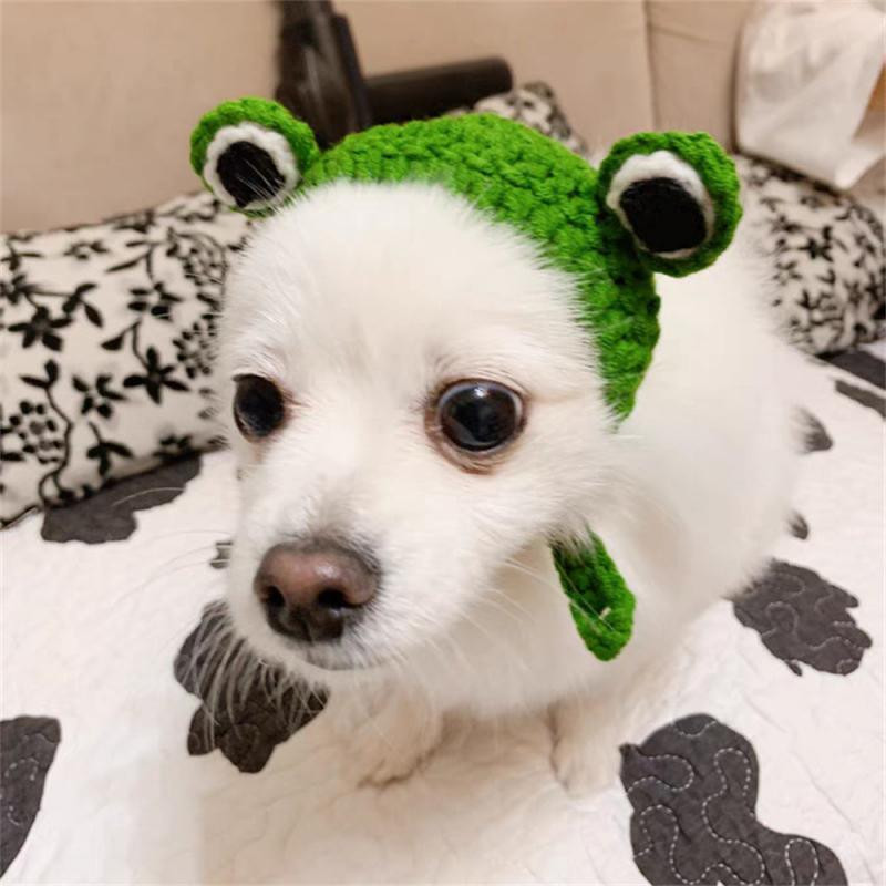 Lemmiklooma kootud käsitsi valmistatud müts kassidele Koertele Armsad konnakujulised peakatted Lõbus fotograafia Lemmiklooma reguleeritav koerapeakate Kasside tarvikud