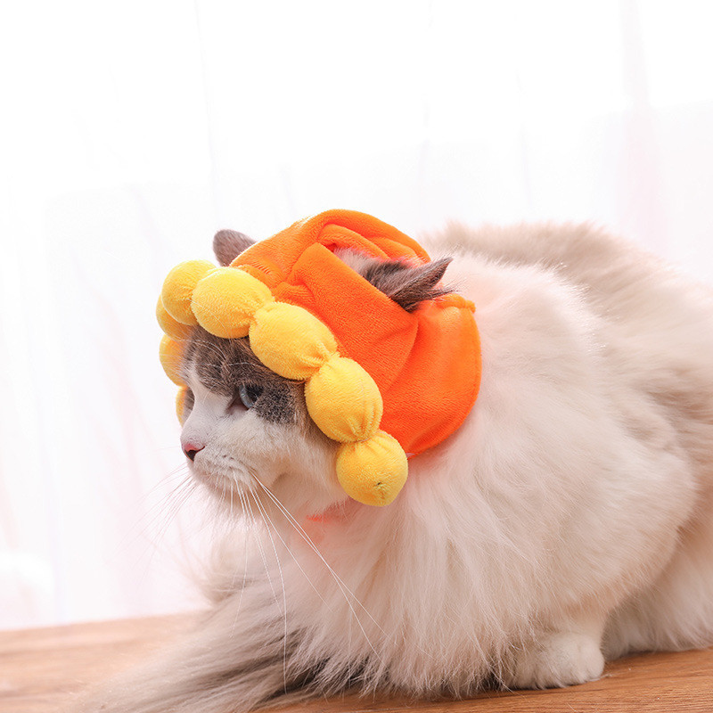 Mačka Pokrivala za glavu Sladak ljubimac Pas Mačka Kapa Slatke uši Šeširi za mačke Dječji Cosplay Rekviziti Pokrivala za glavu Uši Pokrivala za kućne ljubimce Dodaci za mačke