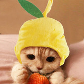 Καπέλο γάτας Χαριτωμένο βελούδινο καπέλο σε σχήμα αχλαδιού Καπέλο για κατοικίδια Cosplay για το Χριστουγεννιάτικο αποκριάτικο πάρτι