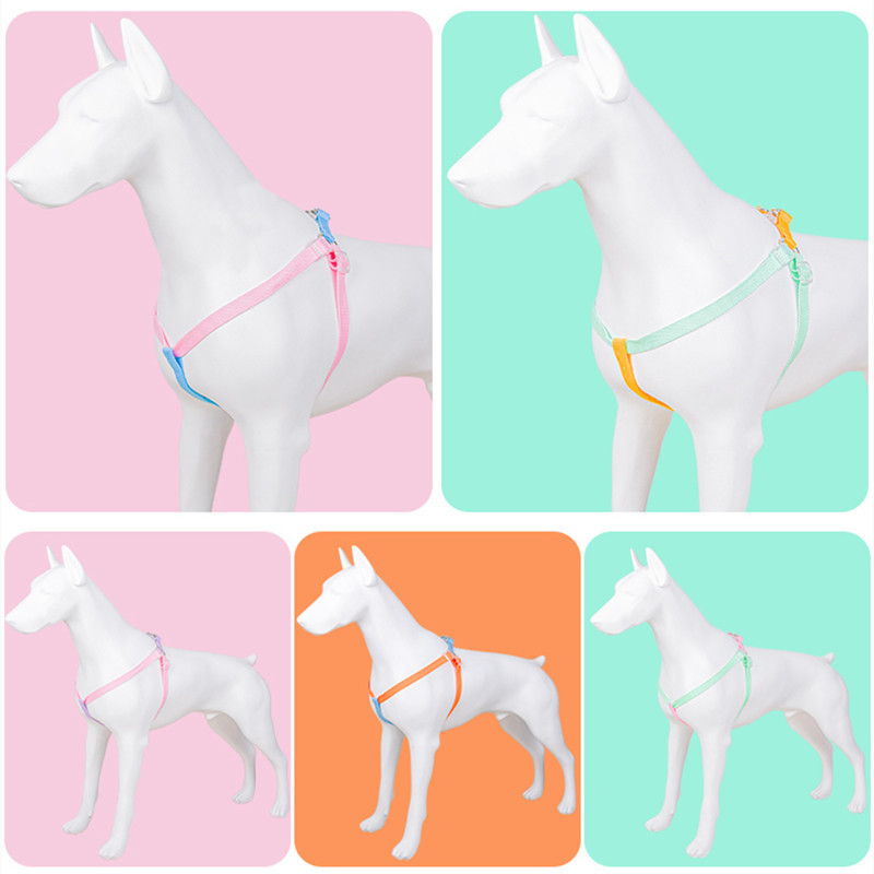 Povodac za pse, set ogrlica bez povlačenja, podesivi najlonski pojas za kućne ljubimce, prsluk za male, velike pse, povodac, povodac za hodanje francuskog buldoga