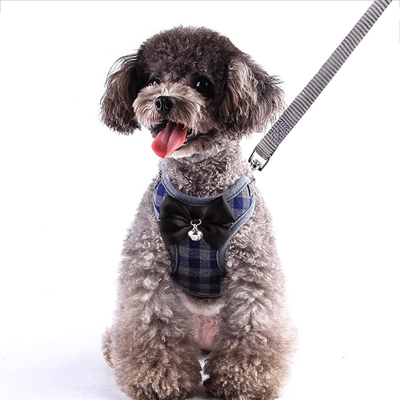 Cățeluși, pisici, iepuri, ham și lesă, set pentru câini de talie mică, ham din plasă, vestă, cu fundă, curea pieptului, chihuahua, yorkie, accesorii pentru animale de companie