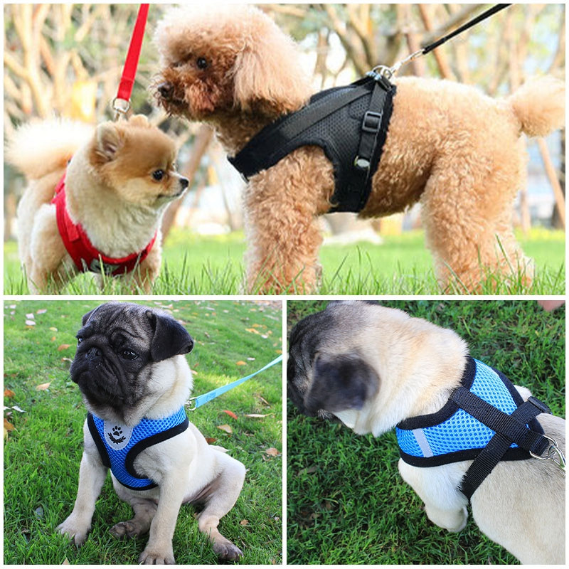 Állítható macskaheveder mellény fényvisszaverő puha hám mellény sétáló póráz kiskutya kisállat bolthoz Tudo Para Caes kutyapóráz