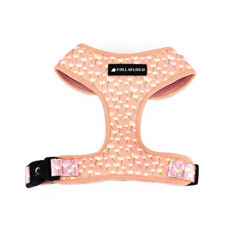 Ρυθμιζόμενο κολάρο για σκύλους κατοικίδιων ζώων Ανθεκτικό μαλακό χαριτωμένο δημιουργικό έγχρωμο σχέδιο πικραλίδα Λουρί λουρί από νεοπρένιο με δοσομετρική τσάντα κακών