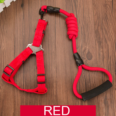 Ανθεκτικό λουρί σκύλου 11 Χρώμα Νάιλον Βασικά Λουριά Μεσαίου μεγάλου κολάρου για σκύλους Μολύβδινο σχοινί για Labrador Rottweiler