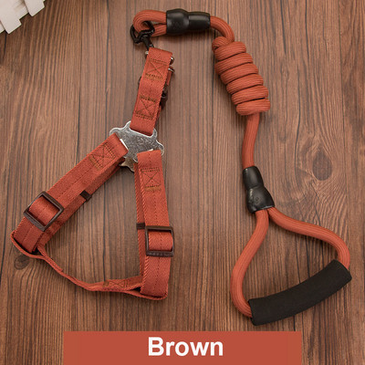 Ανθεκτικό λουρί σκύλου 11 Χρώμα Νάιλον Βασικά Λουριά Μεσαίου μεγάλου κολάρου για σκύλους Μολύβδινο σχοινί για Labrador Rottweiler